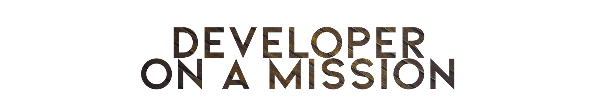Developer on a mission